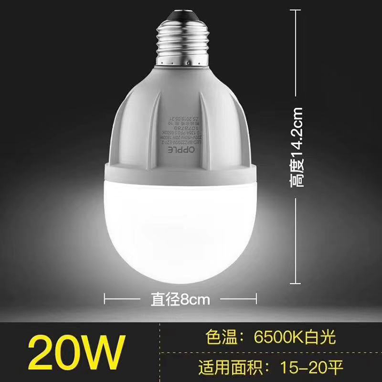 LED球泡-心悦Ⅱ代-T80-20W-E27-6500K.jpg